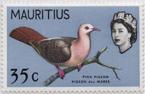 [Birds & Elizabeth II, Typ DD]