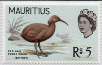 [Birds & Elizabeth II, Typ DI]