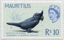 [Birds & Elizabeth II, Typ DJ]