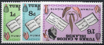 [Human Rights Year, type CO]