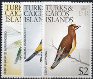 [Birds, Tip EF]