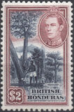 [King George V, Typ AM]