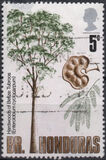 [Trees - Timber Industry, Typ EX]