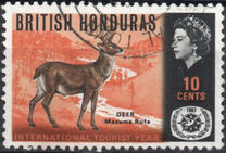 [Wildlife - International Tourist Year, тип CQ]