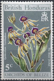 [Orchids of Belize, typ DY]