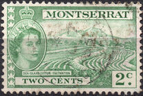 [Queen Elizabeth II, Local Motifs, Scrivi AK]
