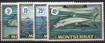 [Fish, type DG]