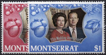 [The 25th Royal Wedding Anniversary, Tip FK]