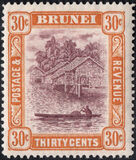 [Brunei River, type D22]