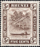 [Brunei River, type D40]