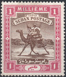 [Camel Postman, סוג I]