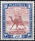 [Camel Postman - New Watermark, type I21]