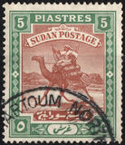 [Camel Postman - New Watermark, type I23]