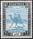 [Camel Postman - New Watermark, type I24]