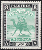 [Camel Postman - New Watermark, type I25]