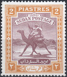 [Camel Postman - New Arabic Inscription, type R]