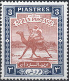 [Camel Postman - New Arabic Inscription, type R1]