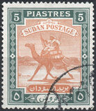 [Camel Postman - New Arabic Inscription, type R3]