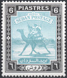 [Camel Postman - New Arabic Inscription, type R4]