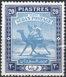 [Camel Postman - New Arabic Inscription, type R7]