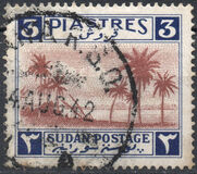 [Palm Trees, jenis P1]
