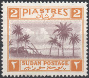[Palm Trees, jenis P]
