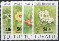 [Flowers, tyyppi XY]