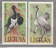 [Birds in the Red Book, type EF]