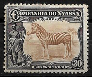 [Zebra, Tip Q]