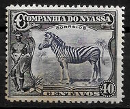 [Zebra, Tip Q1]
