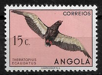 [Birds, type CJ]