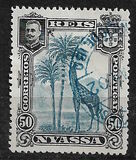 [Giraffe, type C6]