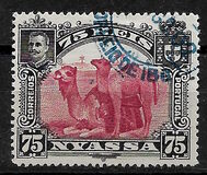 [Dromedary Camels, type D]