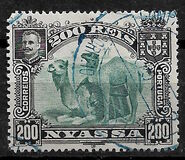 [Dromedary Camels, type D4]