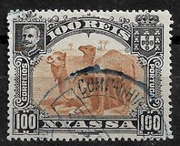 [Dromedary Camels, type D2]