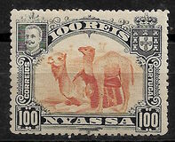 [Dromedary Camels, type D2]