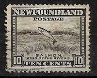 [Newfoundland Issue, type DU1]
