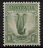 [Superb Lyrebird, Typ N1]