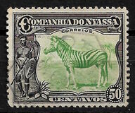 [Zebra, Tip Q2]