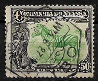 [Zebra, Tip Q2]