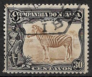 [Zebra, Tip Q]