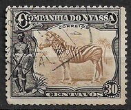 [Zebra, Tip Q]
