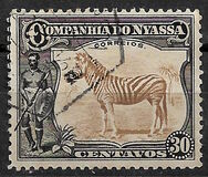 [Zebra, Tip Q]