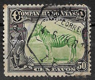 [Zebra, Tip Q2]