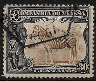 [Zebra, Tip Q]