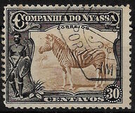 [Zebra, Tip Q]