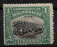 [Local Motifs, Typ O]