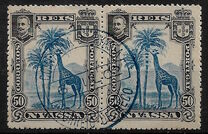 [Giraffe, type C6]