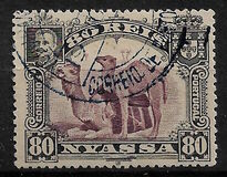 [Dromedary Camels, type D1]