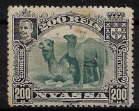 [Dromedary Camels, type D4]